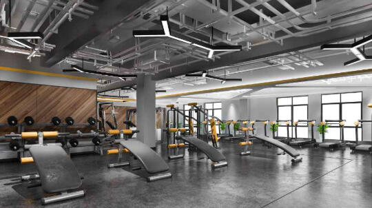 Fitness